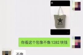 西夏要账公司更多成功案例详情